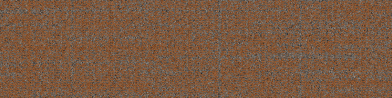 Open Ended Carpet Tile in Canyon image number 7