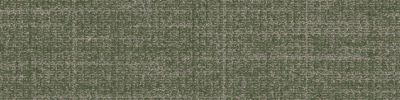 Open Ended Carpet Tile in Palm
