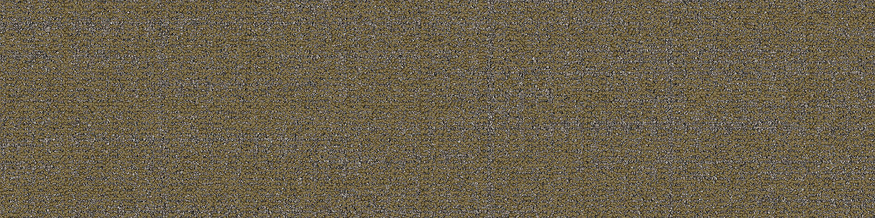 Open Ended Carpet Tile in Willow imagen número 7