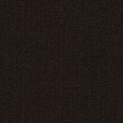 Out of Bounds Carpet Tile in Espresso