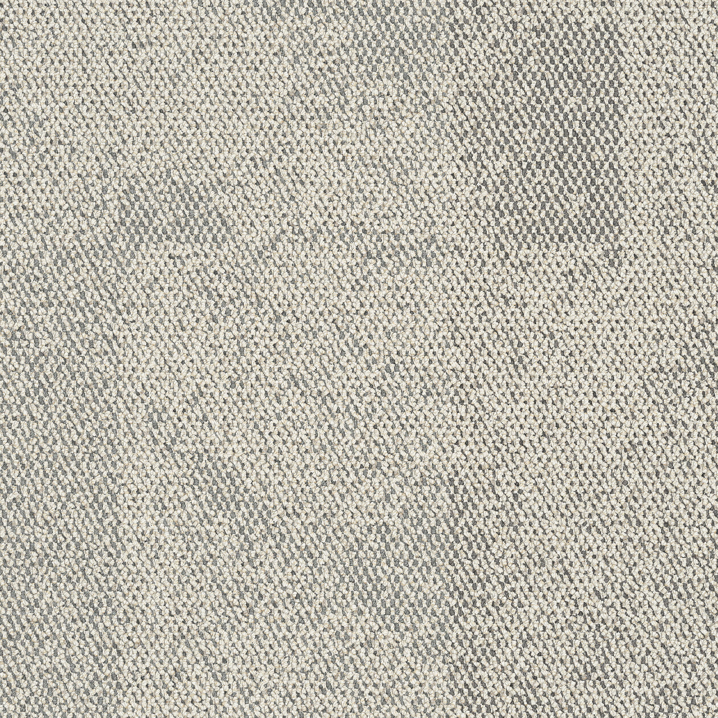 image Paver Carpet Tile in Mushroom numéro 3