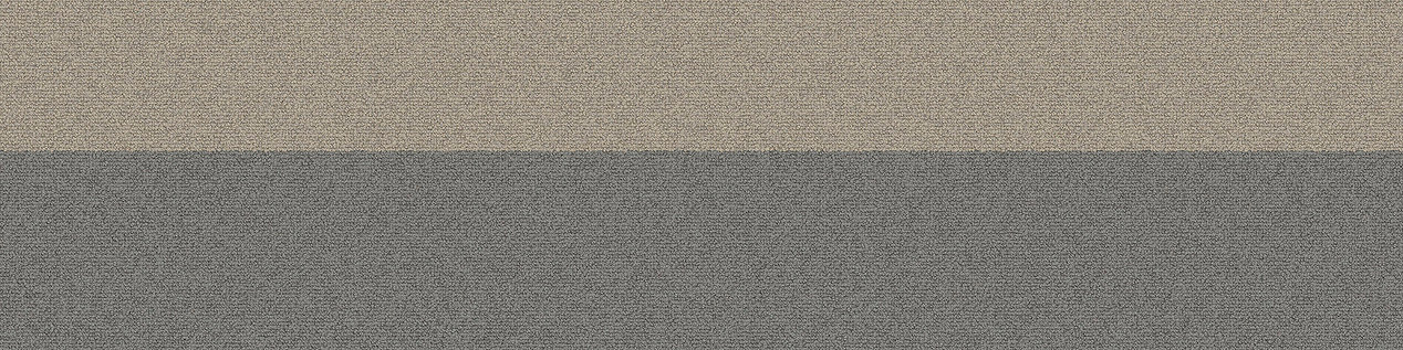 PH210 Carpet Tile In Pigeon Bands numéro d’image 9