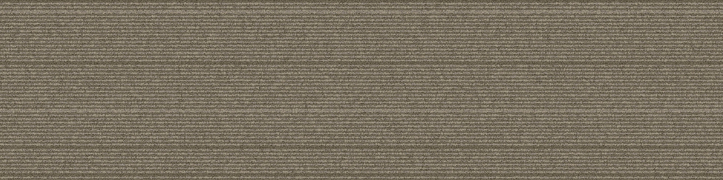 PH211 Carpet Tile In Olive imagen número 9