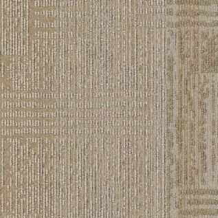 Plain Weave Carpet Tile In Oasis