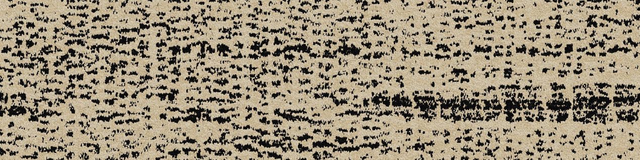 PM01 Carpet Tile In Ebony & Ivory