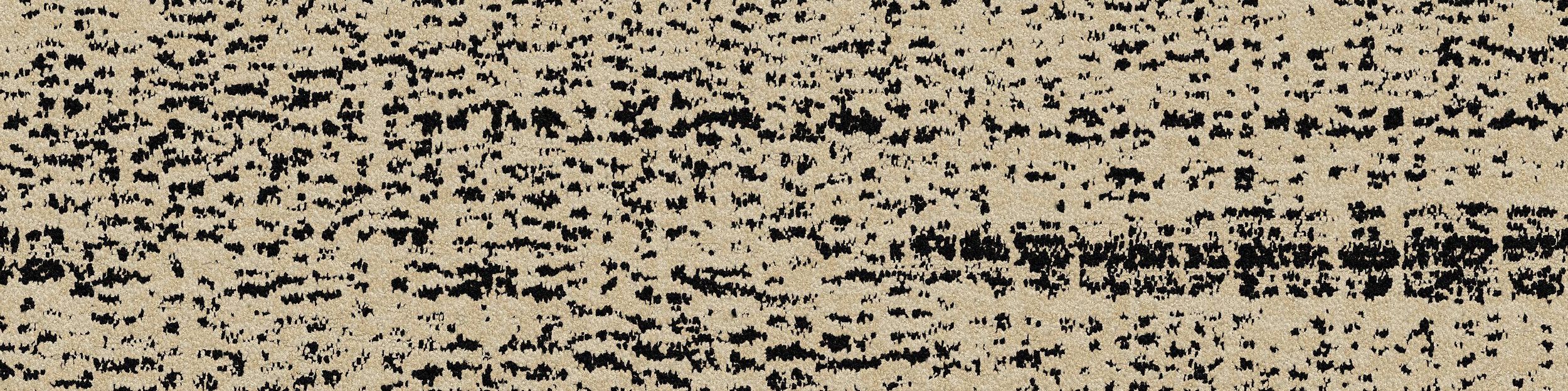 PM01 Carpet Tile In Ebony & Ivory image number 1