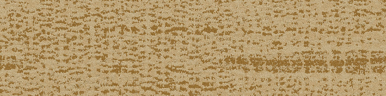 PM01 Carpet Tile In Goldenrod image number 3