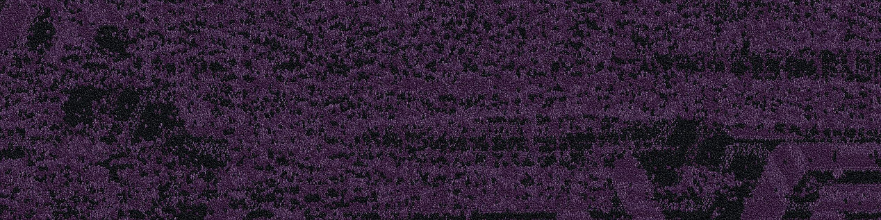 PM17 Carpet Tile In Aubergine image number 3