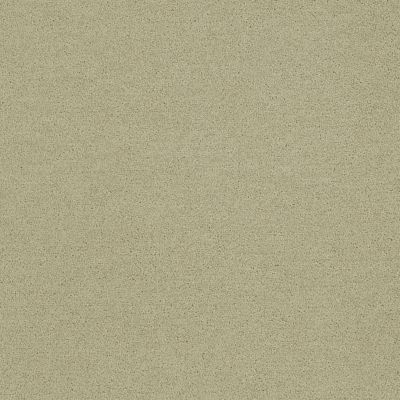 Polichrome Solid Carpet Tile In Turtledove afbeeldingnummer 1