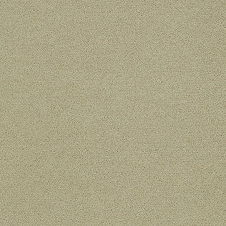 Polichrome Solid Carpet Tile In Turtledove número de imagen 6