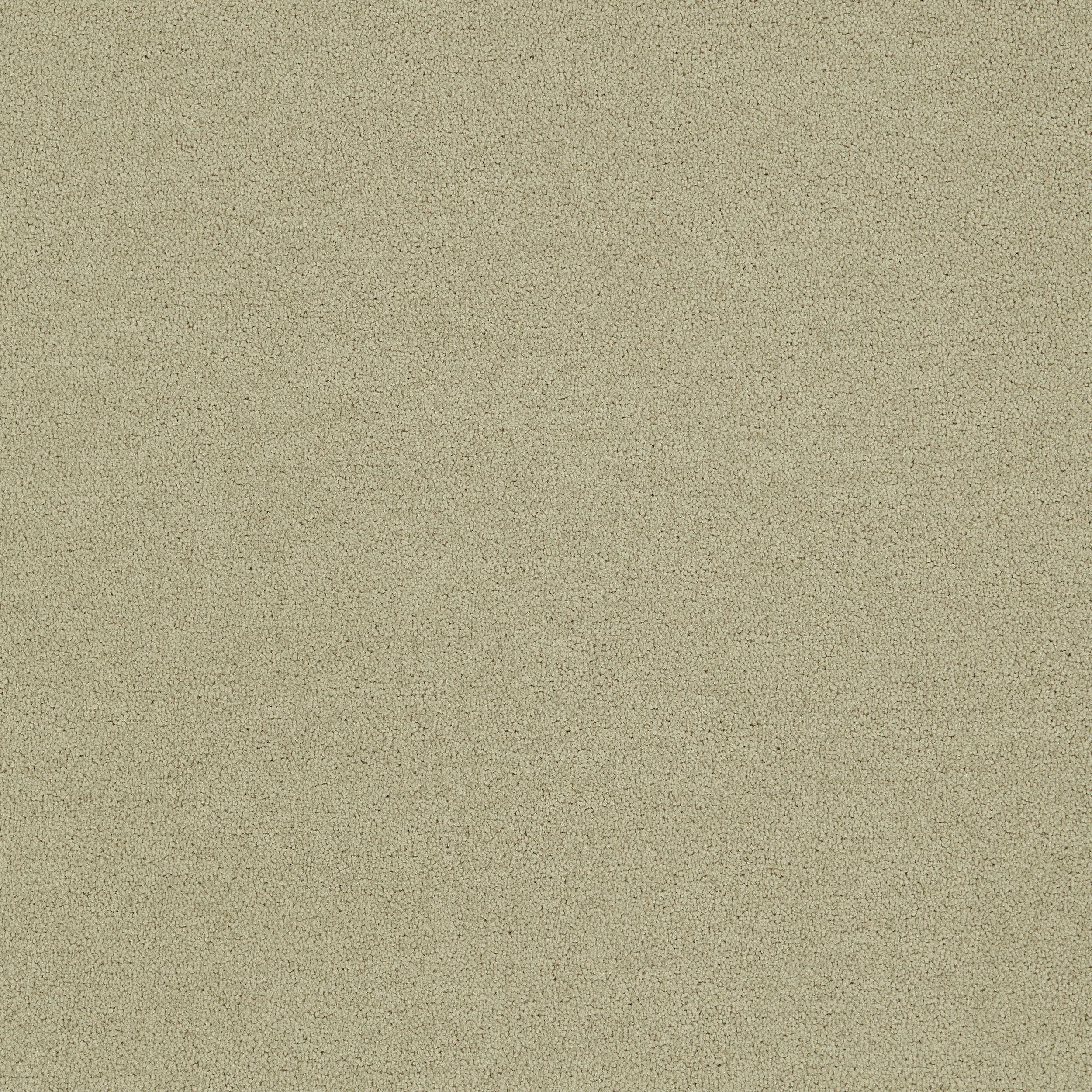 Polichrome Solid Carpet Tile In Turtledove afbeeldingnummer 2