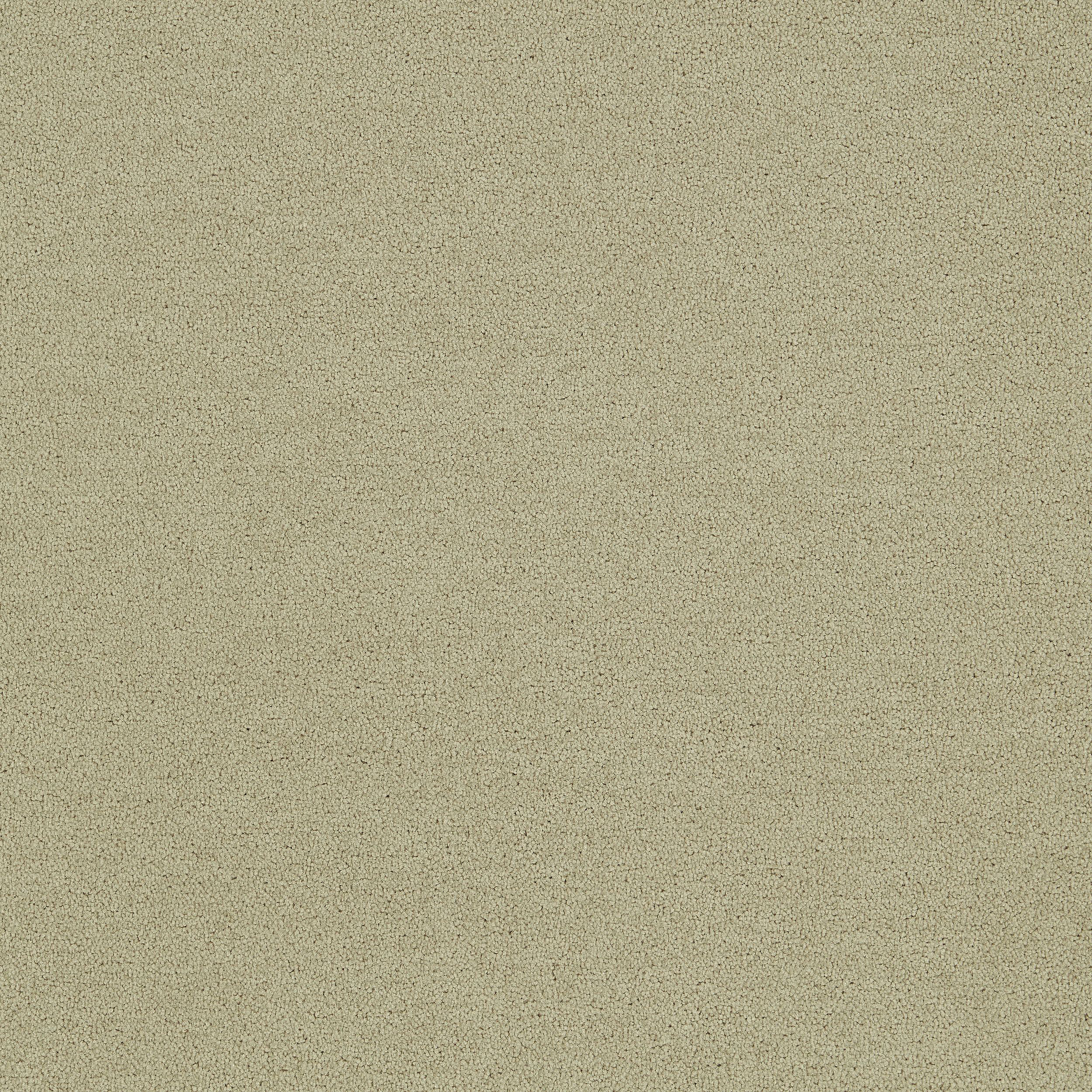Polichrome Solid Carpet Tile In Turtledove número de imagen 6