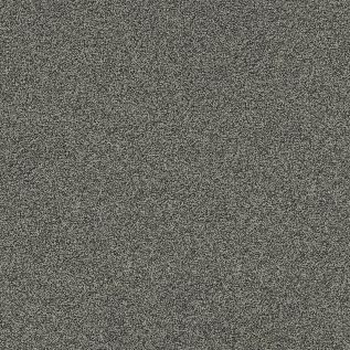 Polichrome Stipple Carpet Tile In Moonrock
