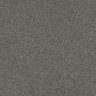 Polichrome Stipple Carpet Tile In Moonrock
