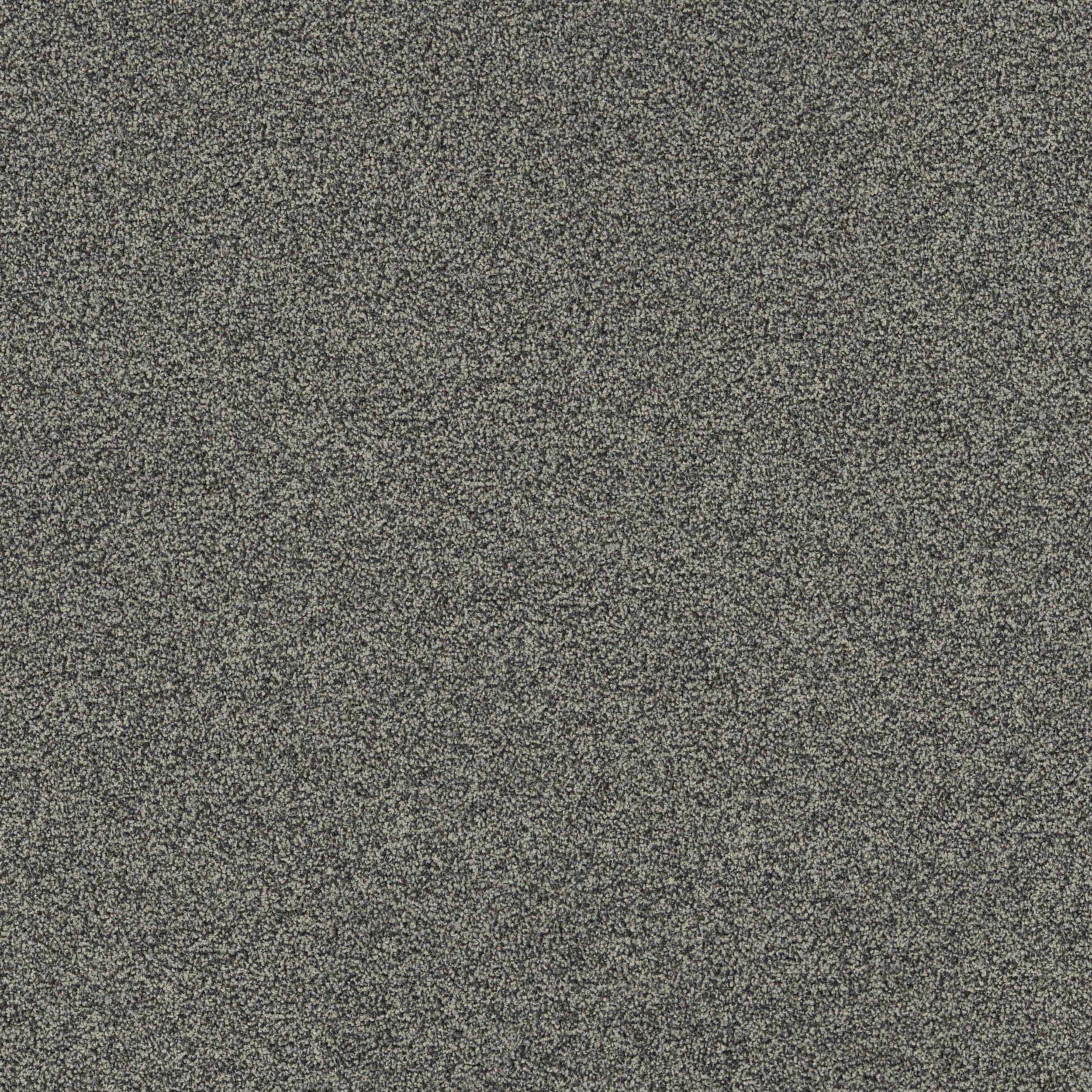 Polichrome Stipple Carpet Tile In Moonrock Bildnummer 2