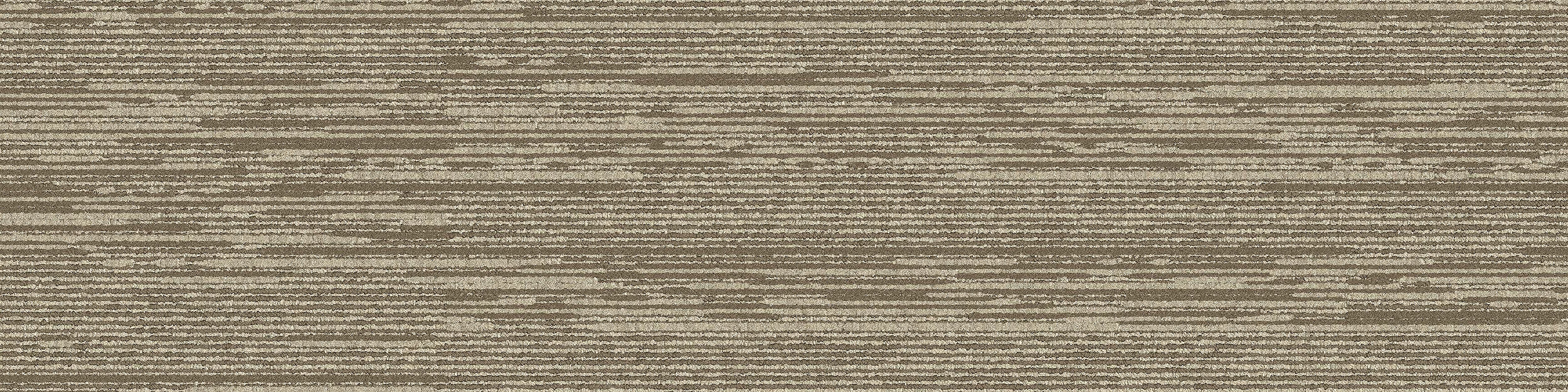 Progression II Carpet Tile In Daylight numéro d’image 9