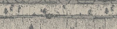 Quiet Grove Carpet Tile in Ash image number 1