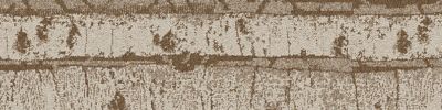 Quiet Grove Carpet Tile in Poplar