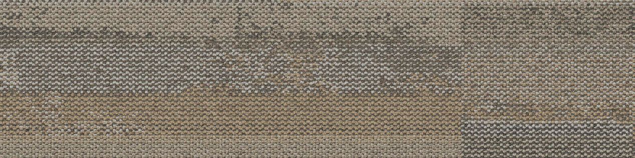 Reclaim Carpet Tile In Cottage Taupe imagen número 2