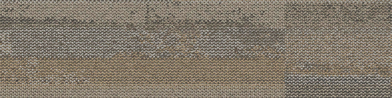 Reclaim Carpet Tile In Cottage Taupe