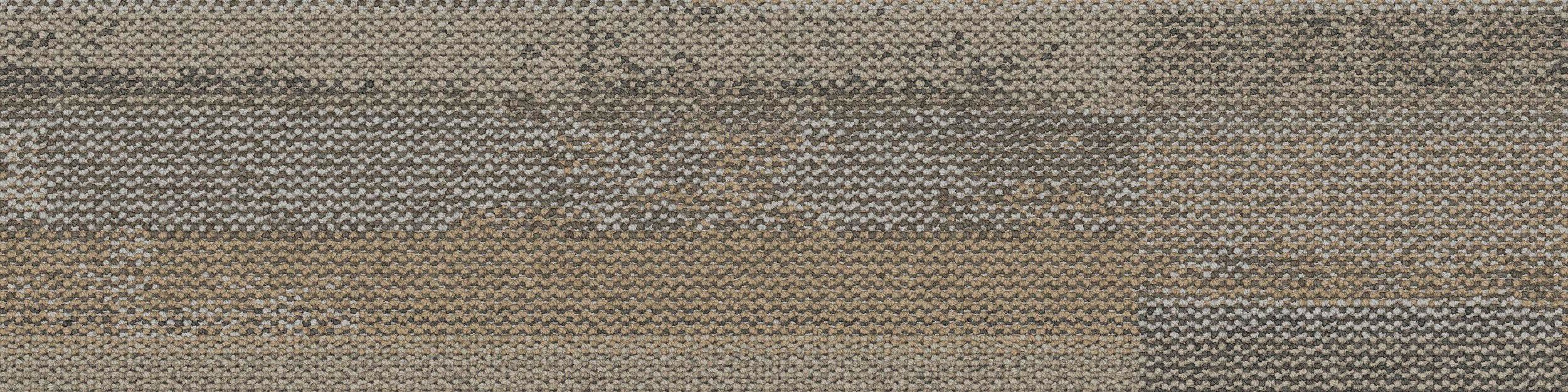 Reclaim Carpet Tile In Cottage Taupe image number 2