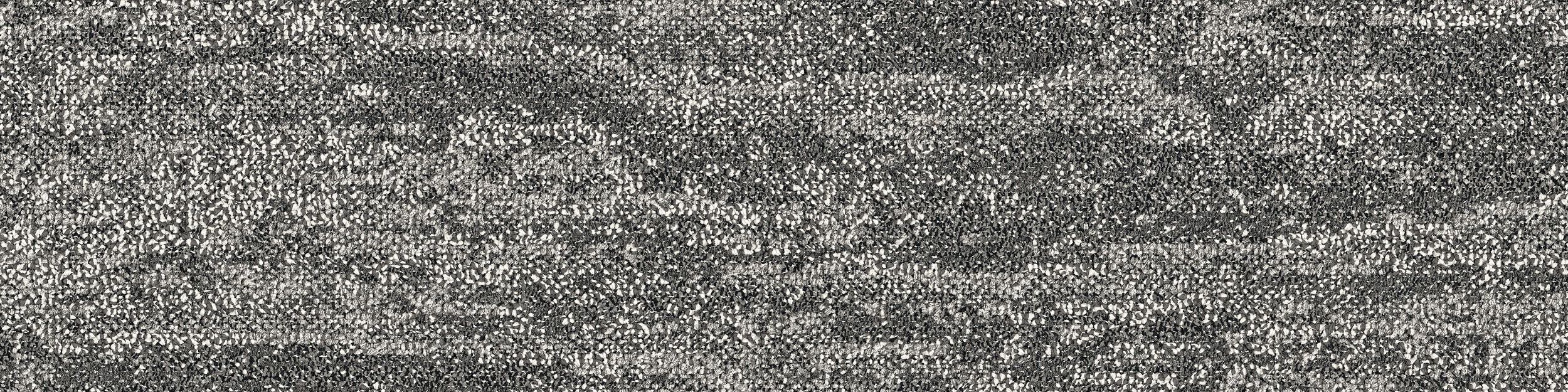 Rock Springs Carpet Tile In Nickel Gneiss imagen número 2
