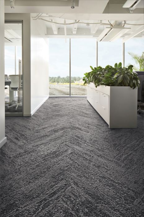 Interface Rock Springs plank carpet tile in walkway of office 