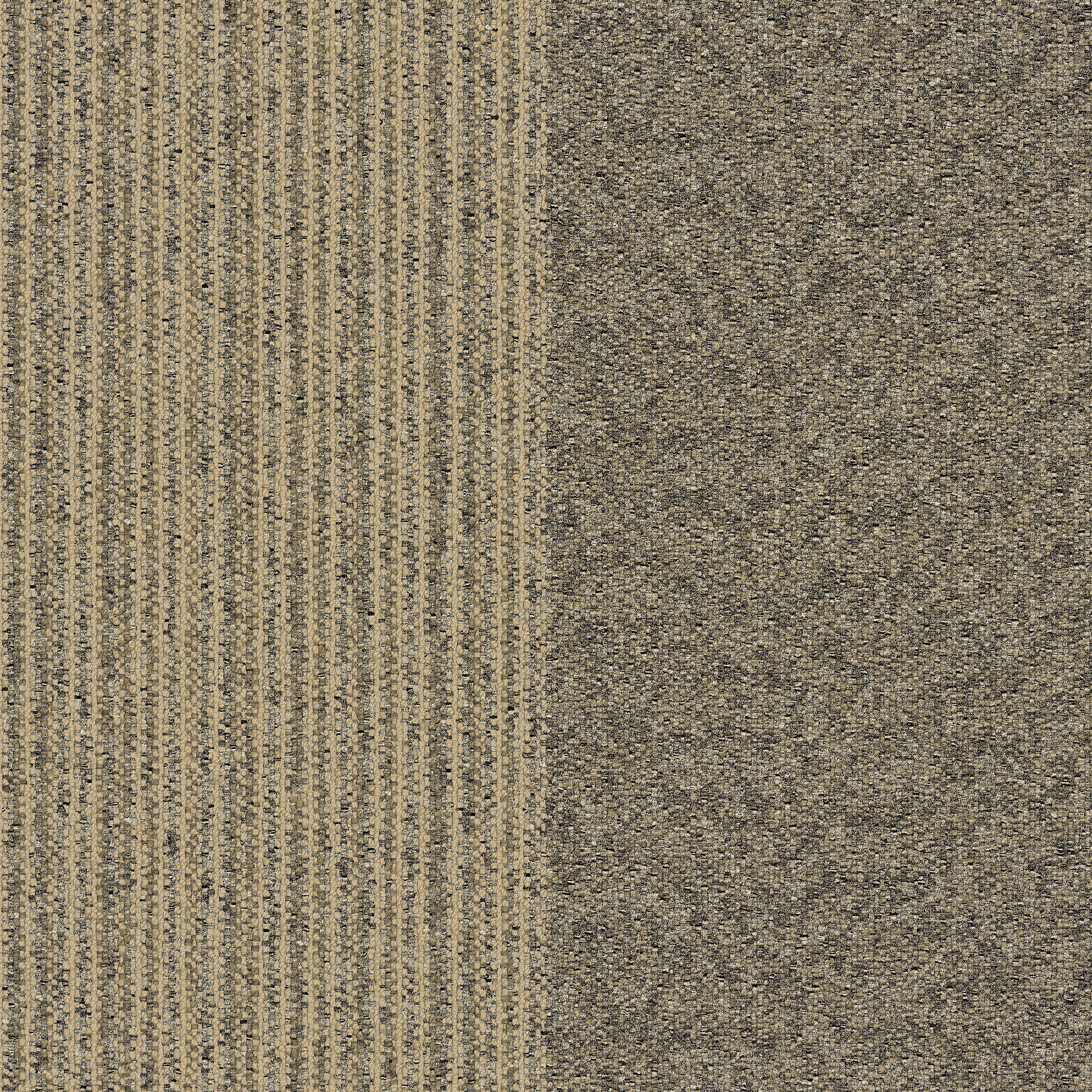 Shadowbox Loop Carpet Tile In Raffia Loop image number 2