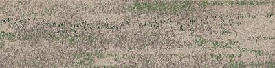 Shallows carpet tile in Rainforest image number 1