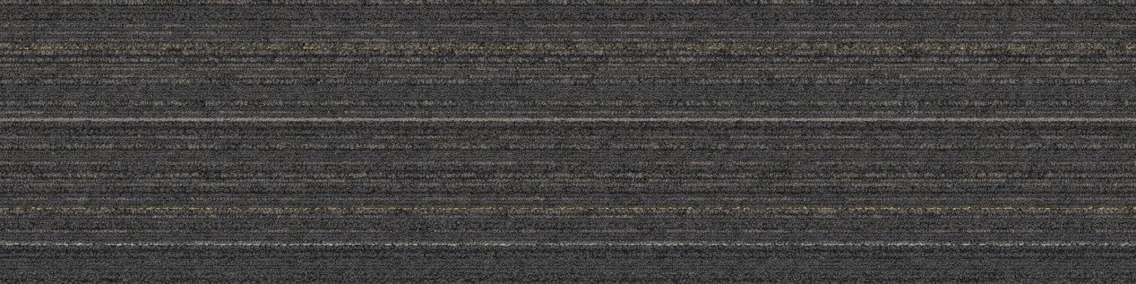 SL920 Carpet Tile In Charcoal Line