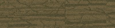 Spruce It Up Carpet Tile in Willow