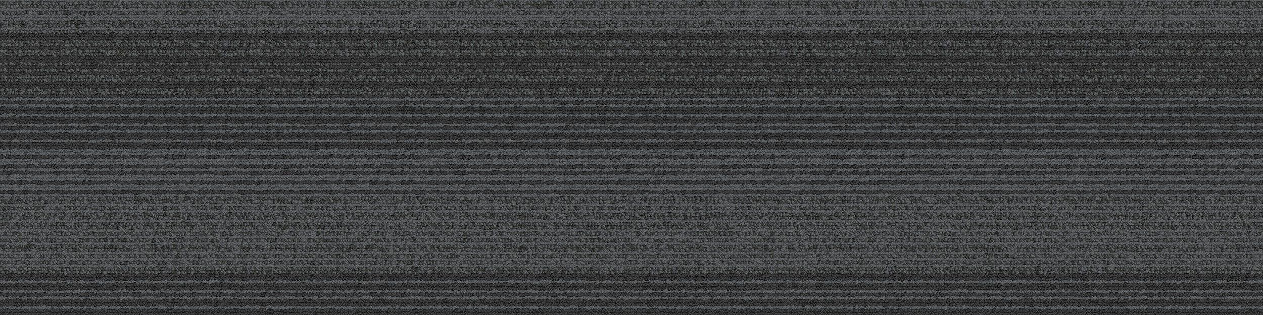 SS217 Carpet Tile In Passageway image number 2