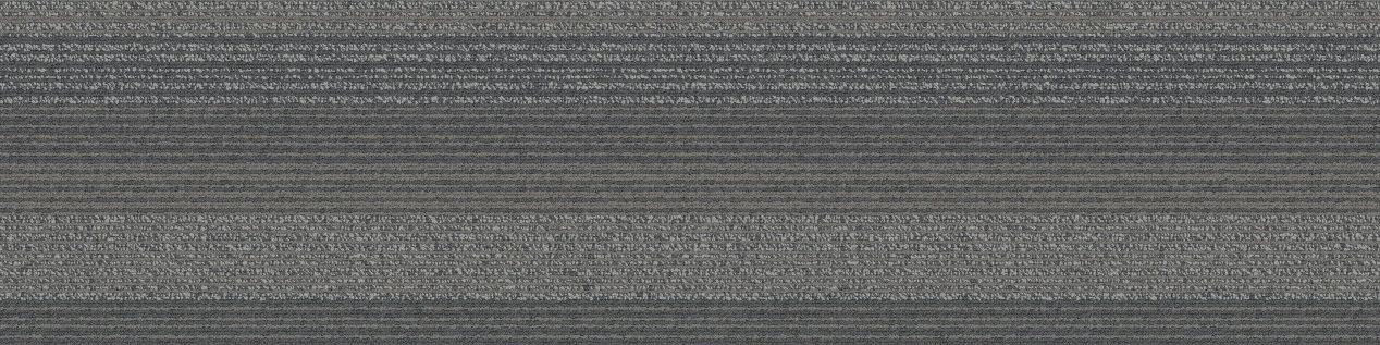 SS217 Carpet Tile In Sidewalk image number 2