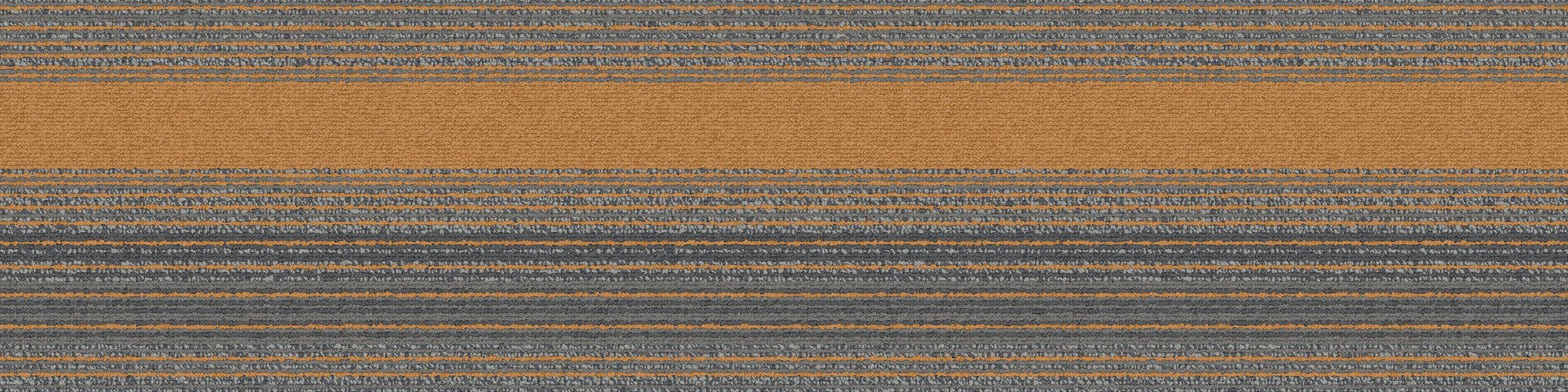 SS218 Carpet Tile In Sidewalk/Naranja imagen número 2