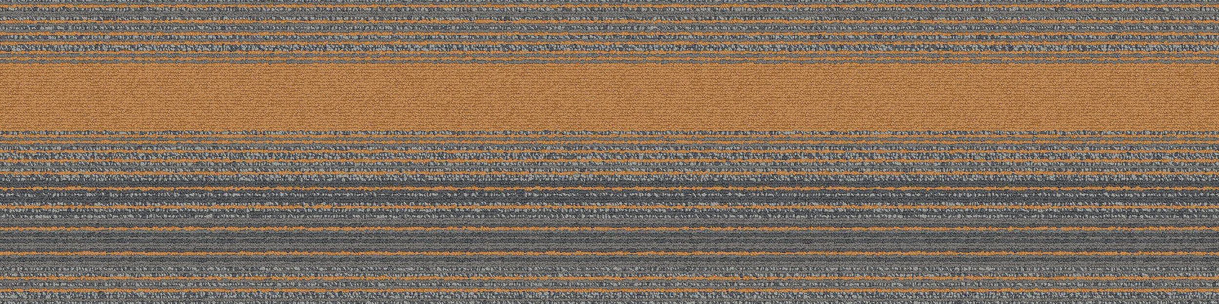 SS218 Carpet Tile In Sidewalk/Naranja imagen número 5