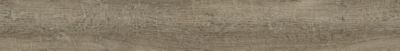 Steady Stride Woodgrains LVT In Malt