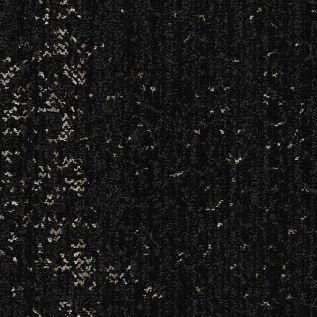 Step Aside Carpet Tile In Coal