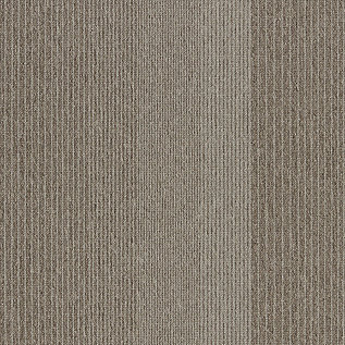 Straightforward II Carpet Tile In Mink