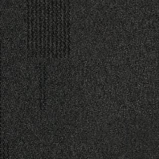 The Standard Carpet Tile In Jetmist