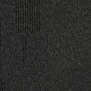 The Standard Carpet Tile In Jetmist imagen número 12