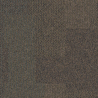 The Standard Carpet Tile In Mangrove imagen número 12