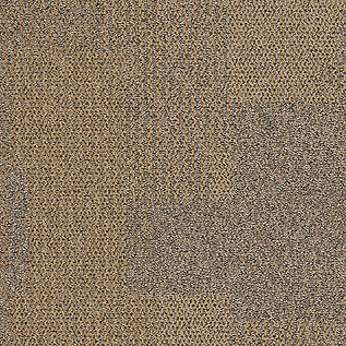 The Standard Carpet Tile In Raffia image number 12