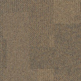 The Standard Carpet Tile In Sesame