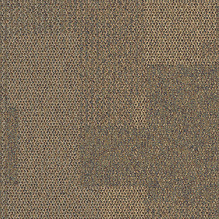 The Standard Carpet Tile In Sesame image number 12