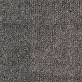 The Standard Carpet Tile In Shale