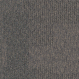 The Standard Carpet Tile In Shale
