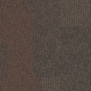 The Standard Carpet Tile In Spice image number 12