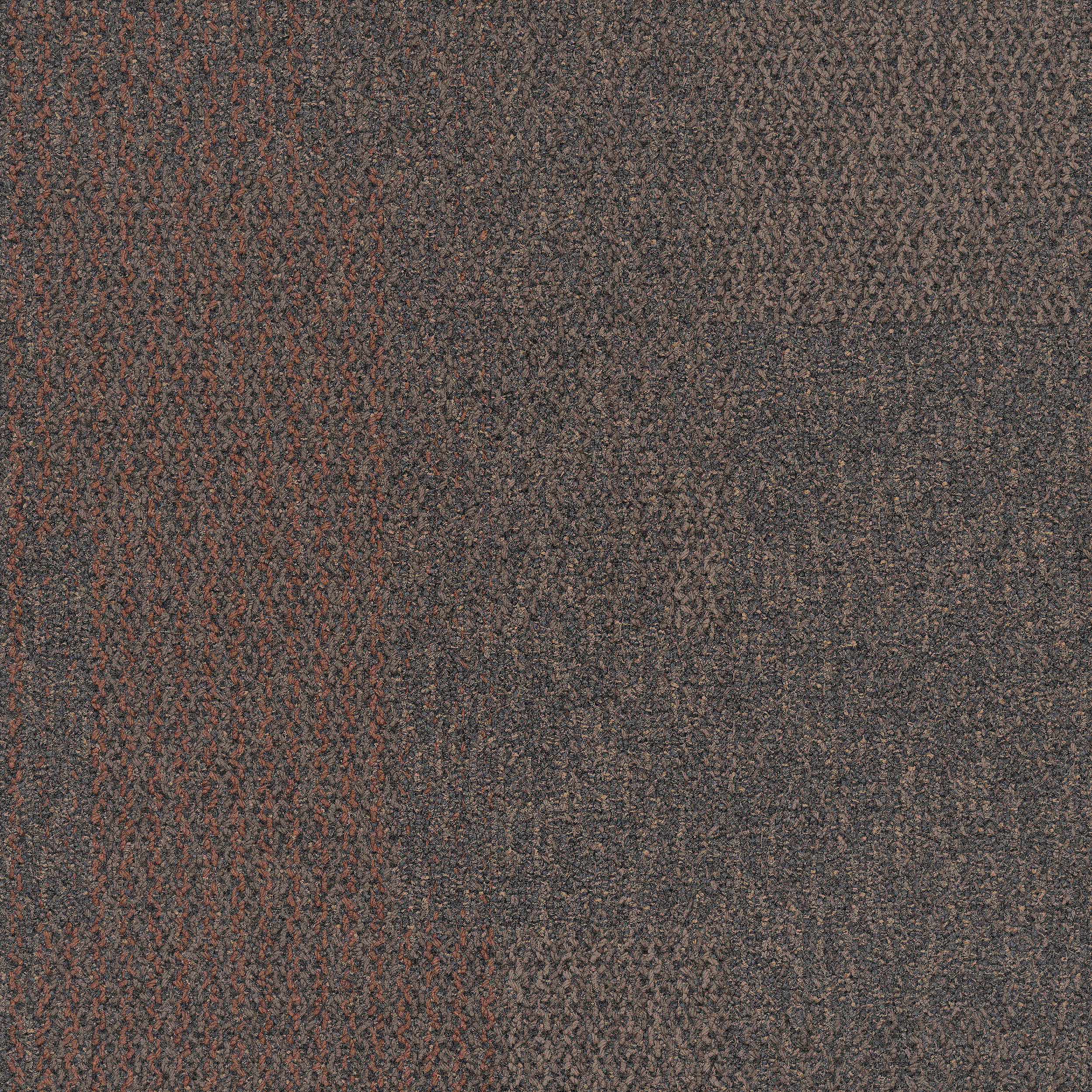 The Standard Carpet Tile In Spice image number 12