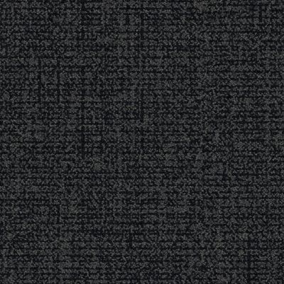 Third Space 301 Carpet Tile in Ebony