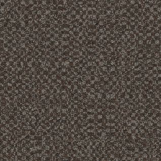 Third Space 303 Carpet tile in Brown